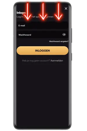 Voer e-mail en wachtwoord in om in te loggen bij MadCasino